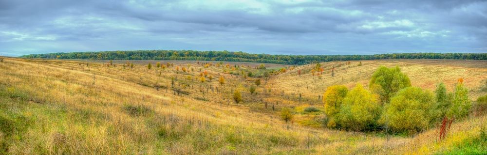 Photograph by Ясинский Юрий