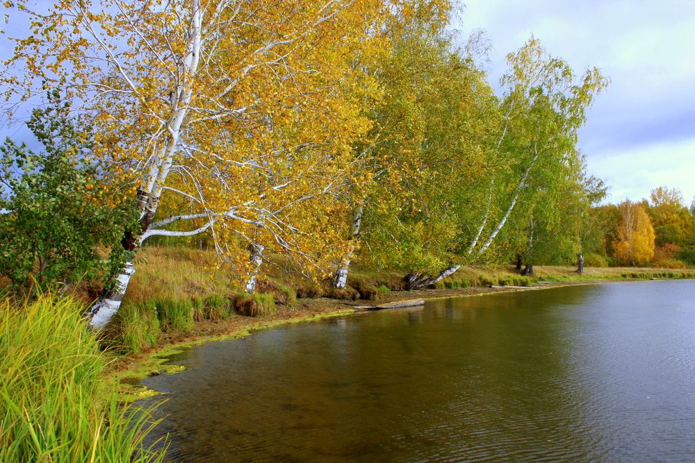 Фотография автора Nelya  Lysenko