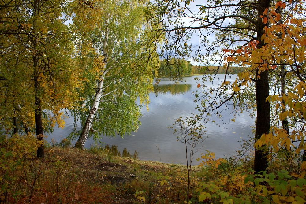 Фотография автора Nelya  Lysenko