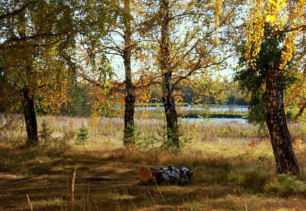 Фотография автора Nelya  Lysenko
