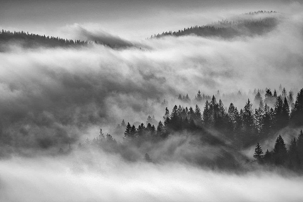 Photograph by Jan Nemec