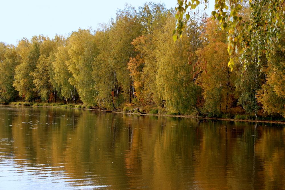 Осень,природа Урала.