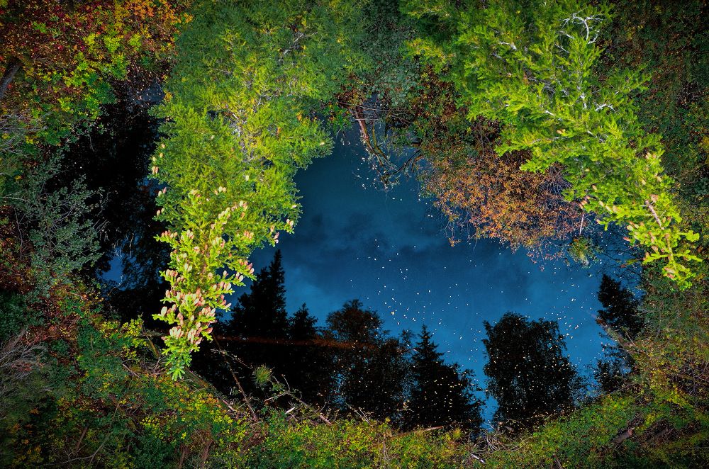 Photograph by Денис Гончаренко