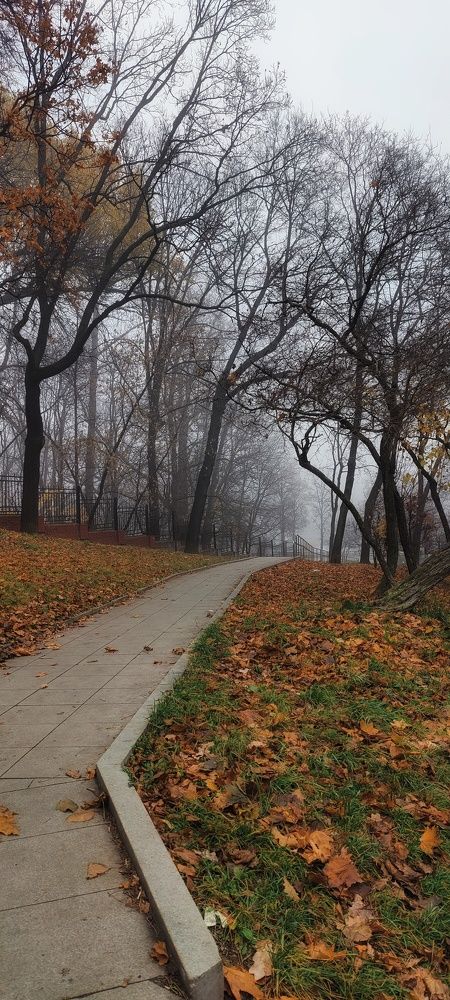 Photograph by Анна Подгорская