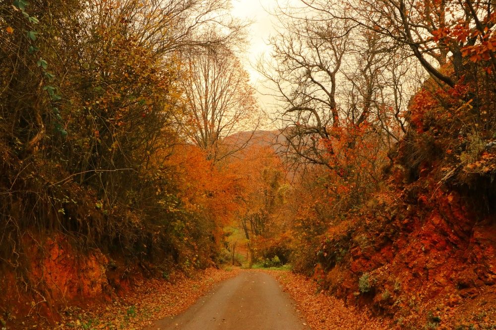 Photograph by Suncica Andrejevic