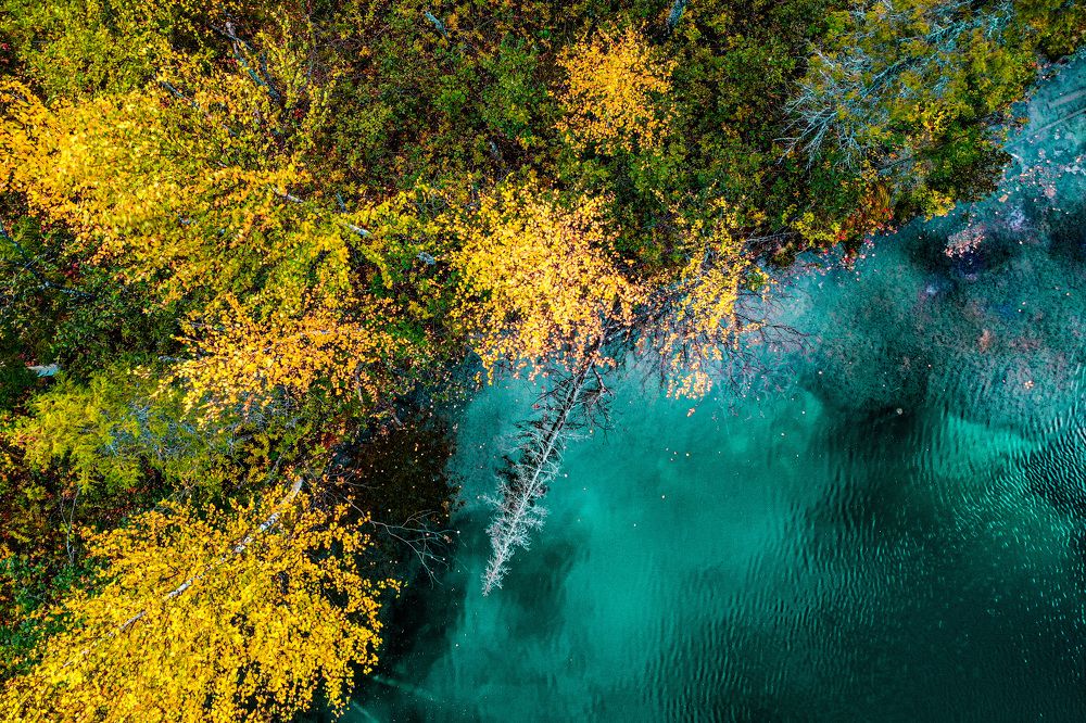 Photograph by Денис Гончаренко