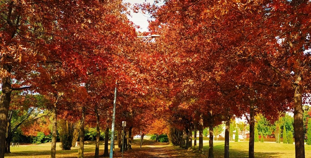 Photograph by Kirsteen Isles