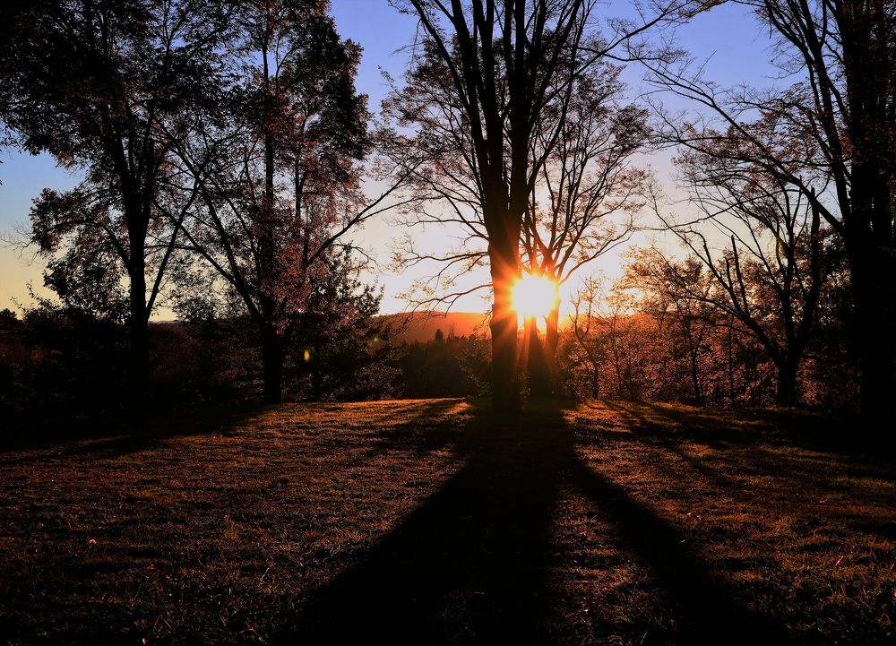 Photograph by Kirsteen Isles