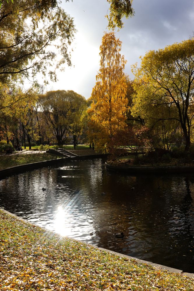 Солнечная осень