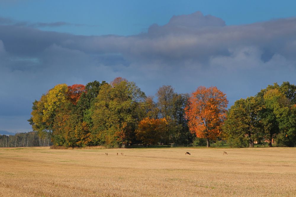 Photograph by Guntars