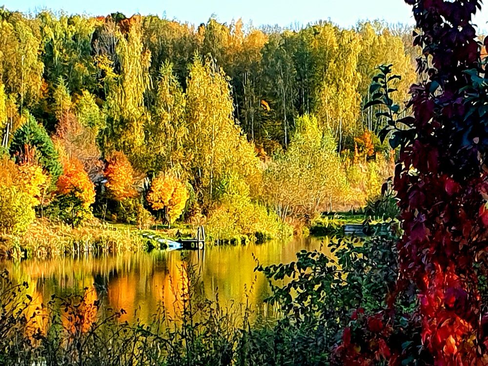 Photograph by Ева К.