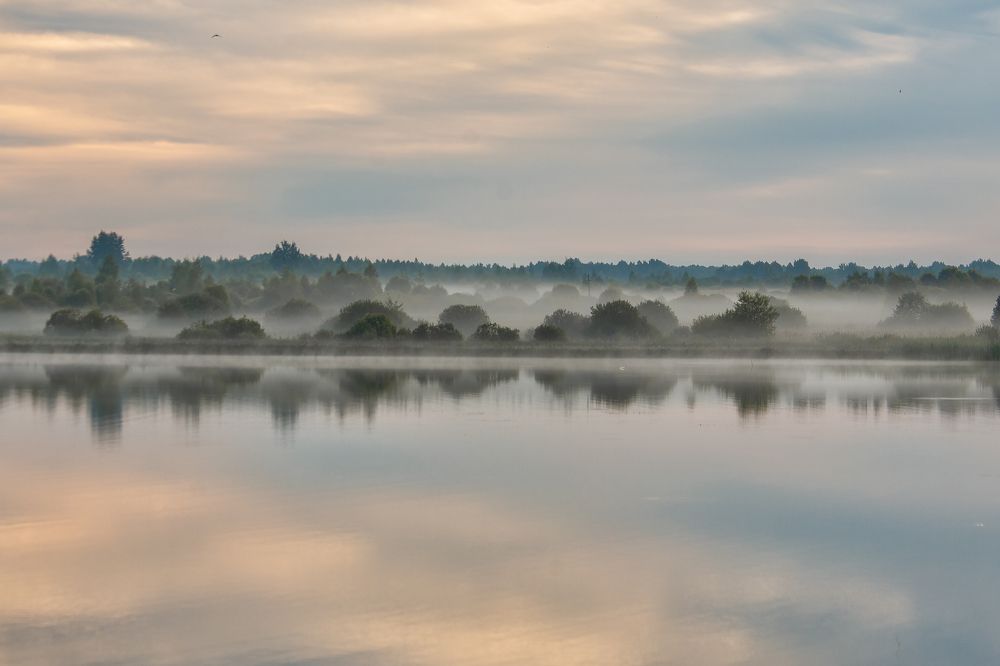 Меланхолия / Melancholy