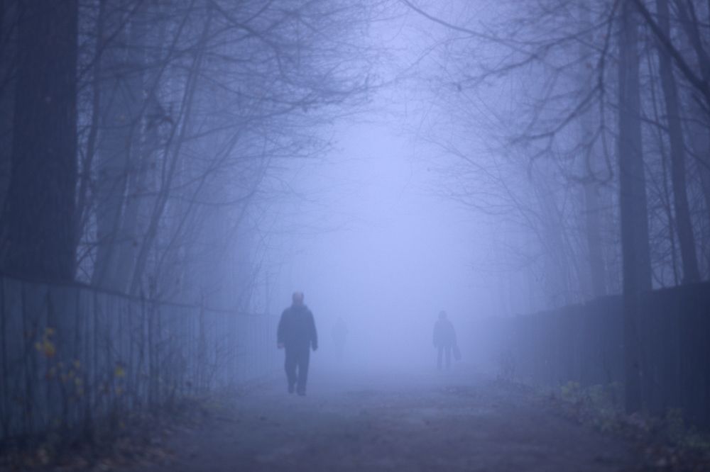 Фотография автора Валерий Егоров