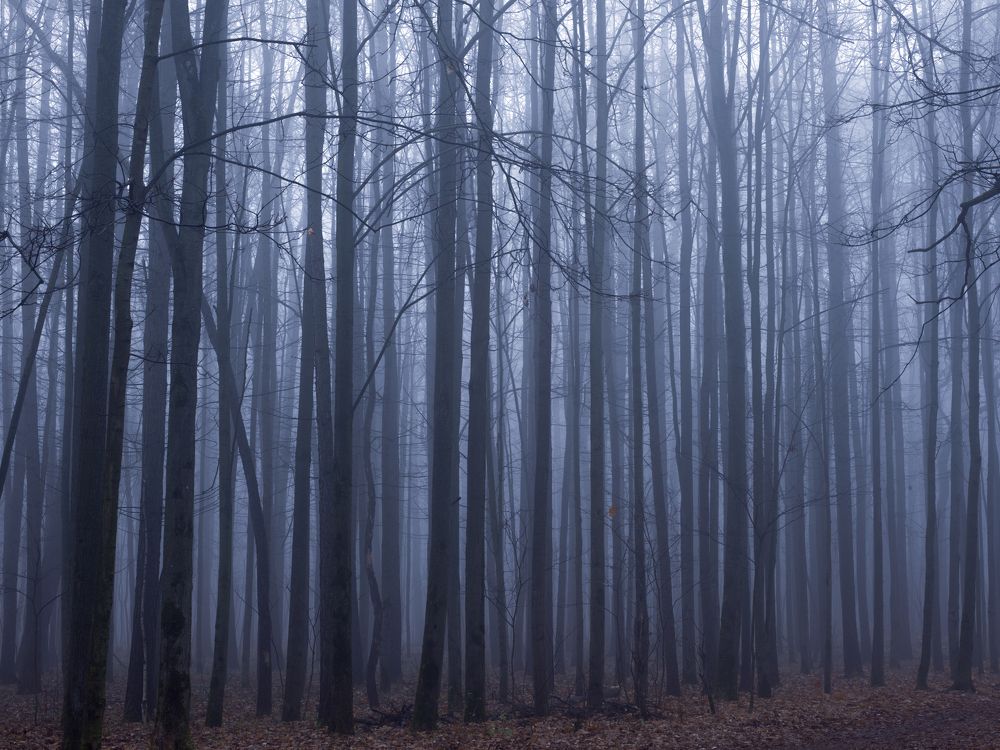 Фотография автора Валерий Егоров