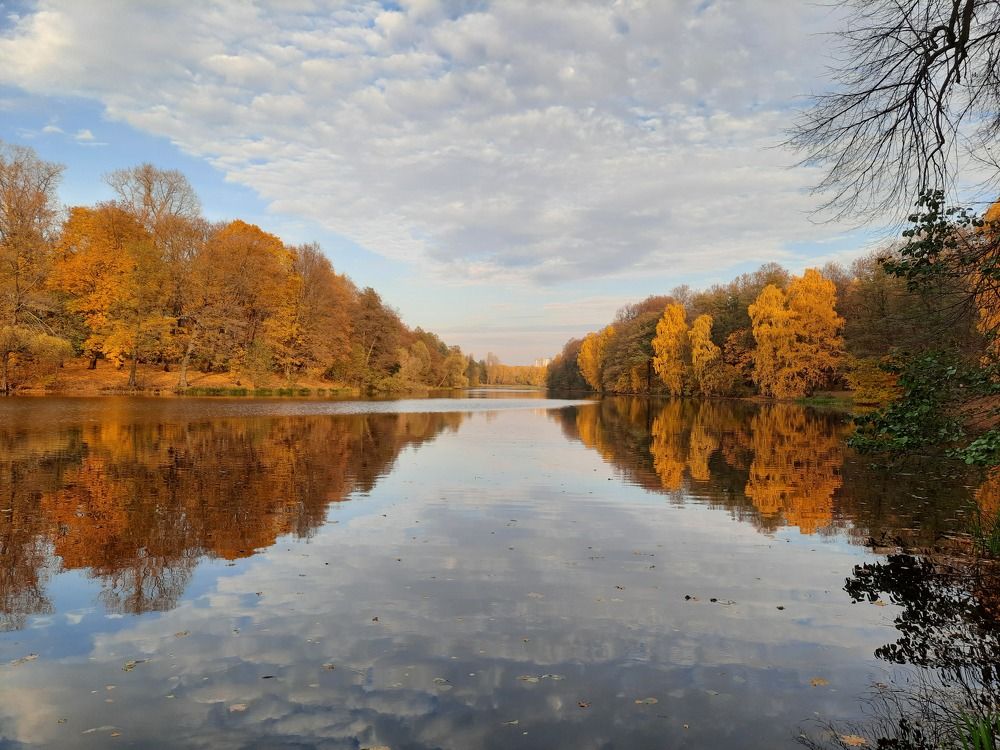 Photograph by Суетинов Евгений