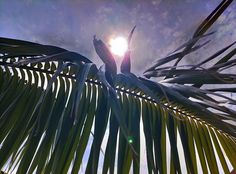 Photograph by Kirsteen Isles