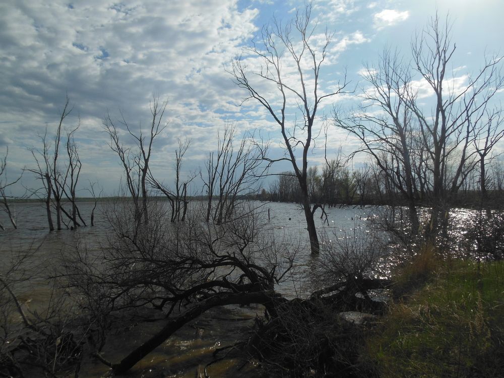 Photograph by Светлана Батурова