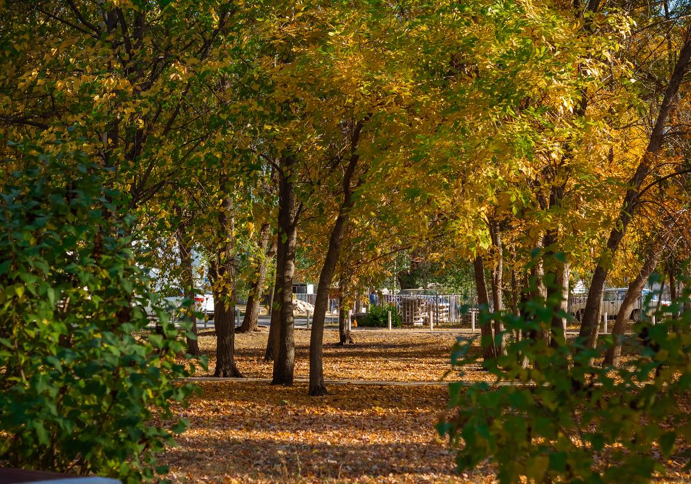 Photograph by Нефедова Ангелина
