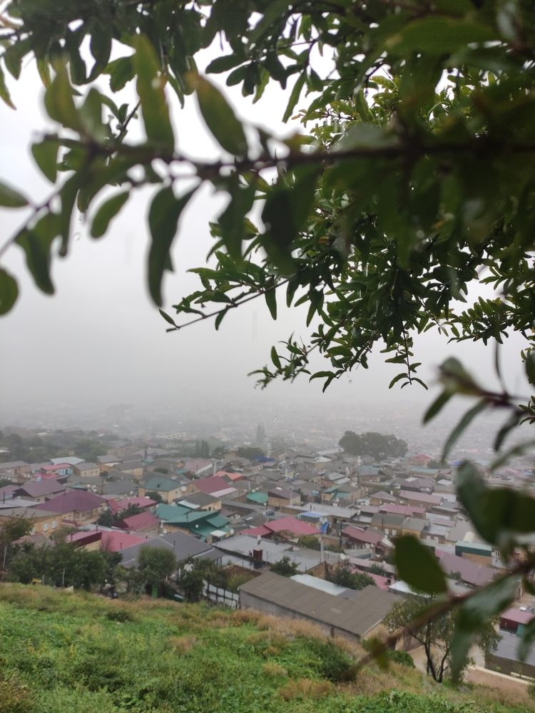 Photograph by Ирина Алексеевская