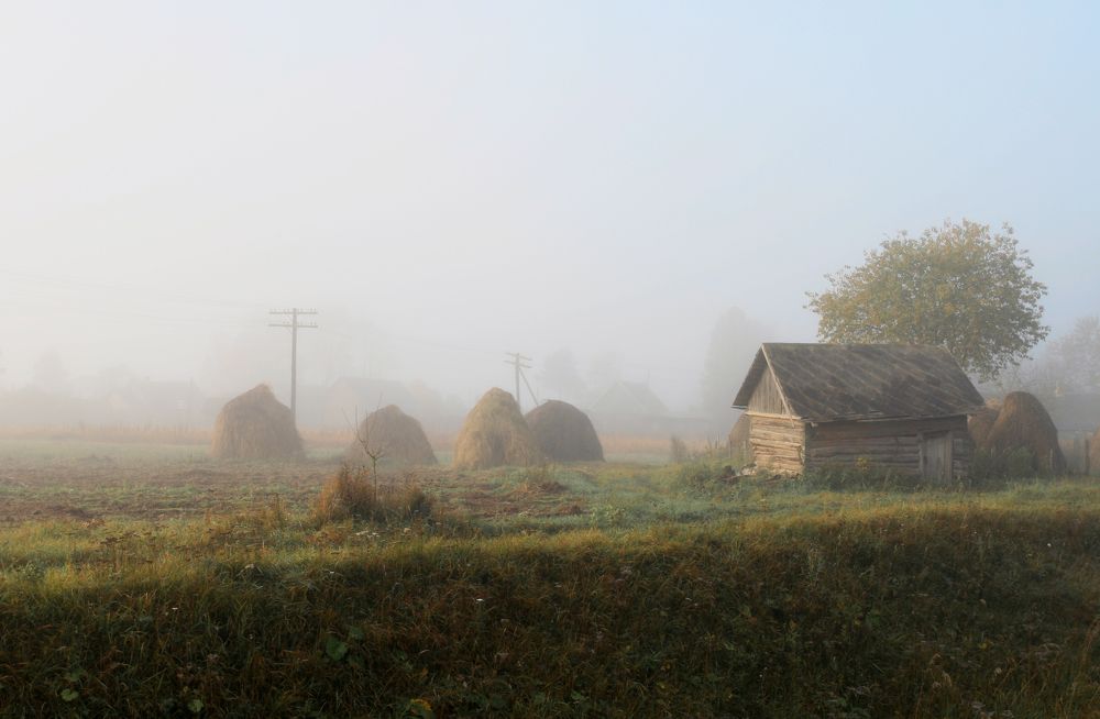 Фотография автора Александр Нагибин
