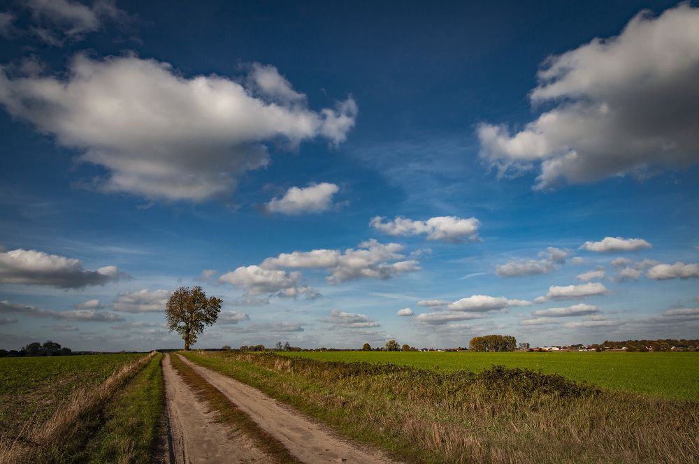 Photograph by Кондратюк Андрей