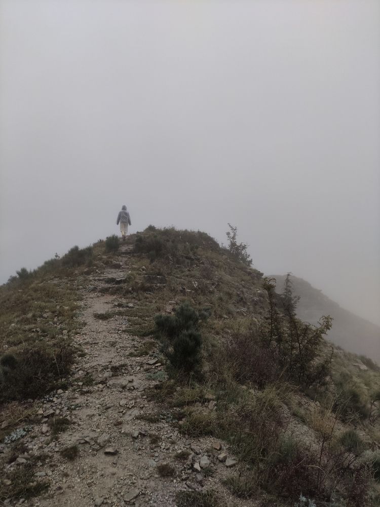 Photograph by Ирина Алексеевская