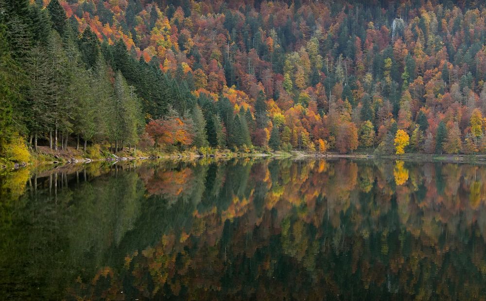 Photograph by Valentina Acrement