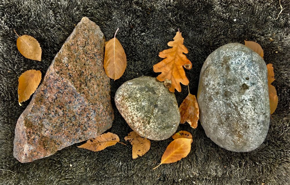 Photograph by Елена Ким