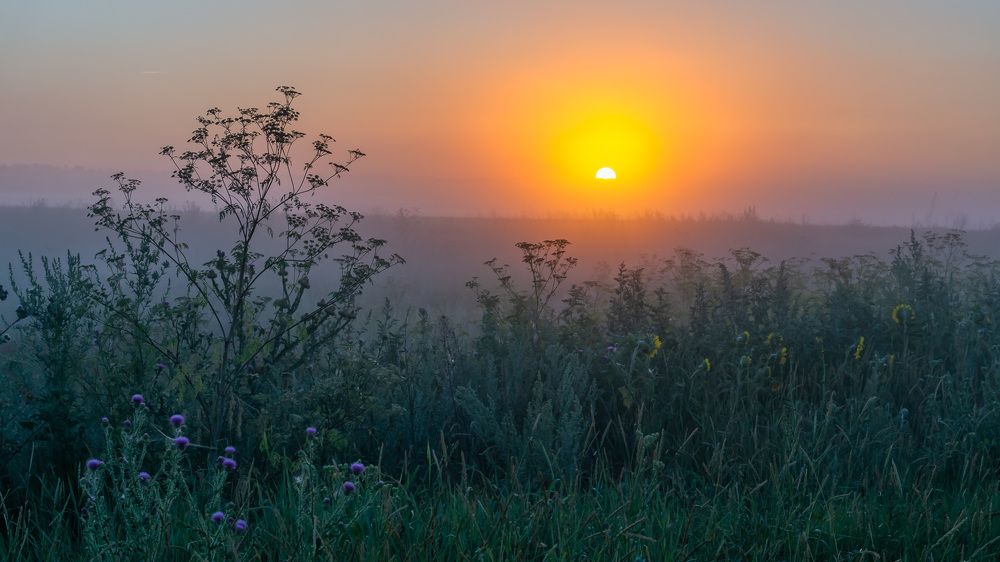 Солнце встает в свой неазначенный час...