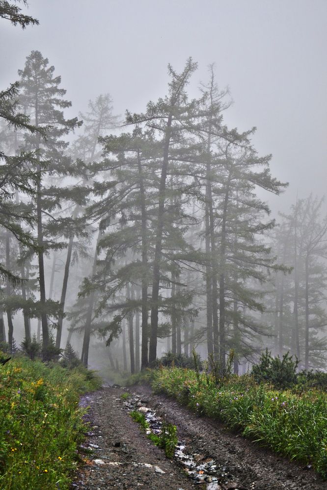 Photograph by Наталья Лещинская