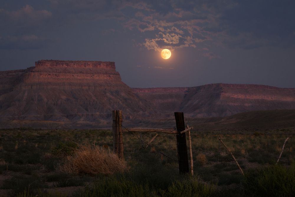 Фотография автора Robert Welsted