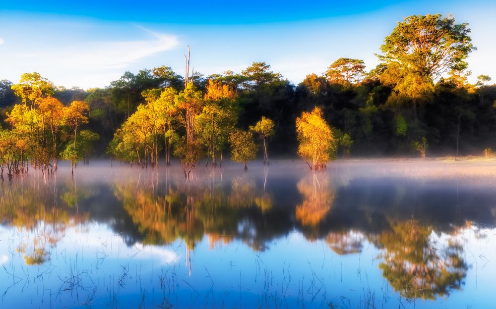 Photograph by Lê Huy Anh