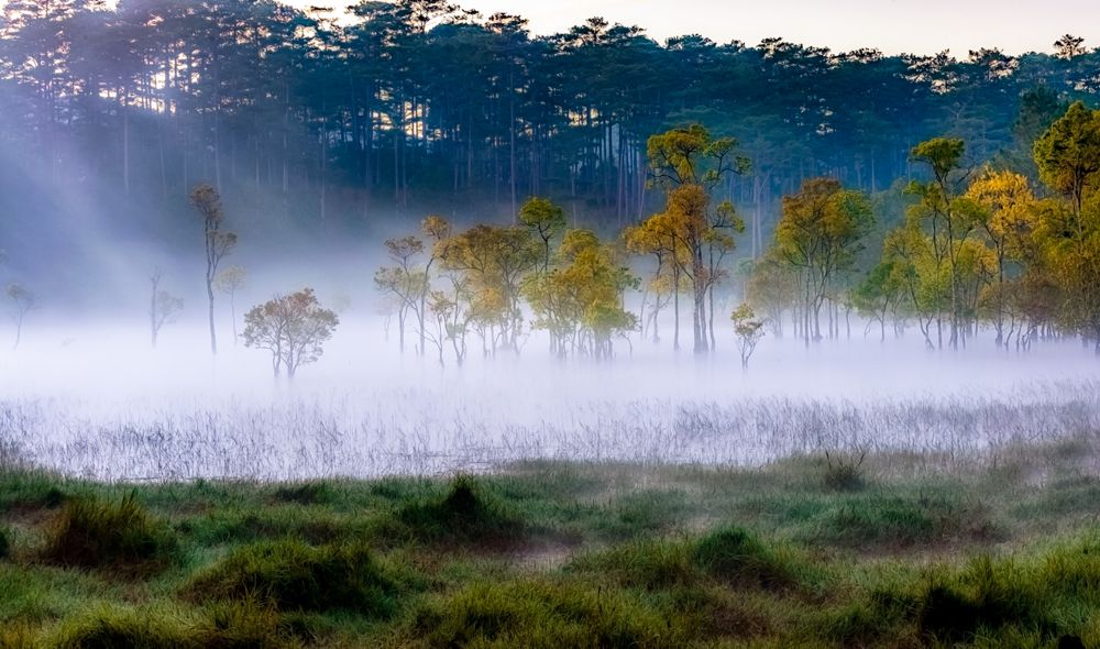 Photograph by Lê Huy Anh