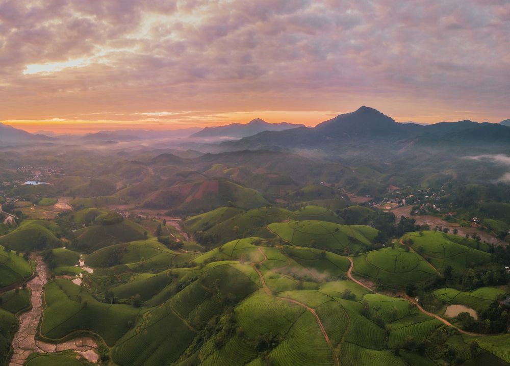 Photograph by Chris Duy