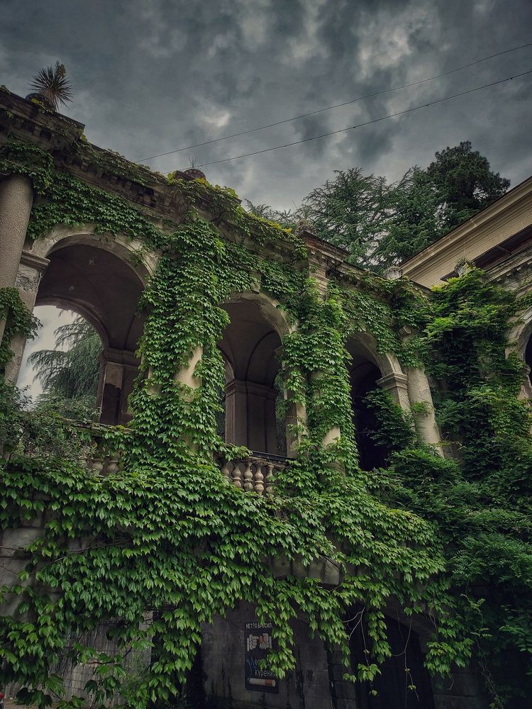 Photograph by Илья Игнашкин