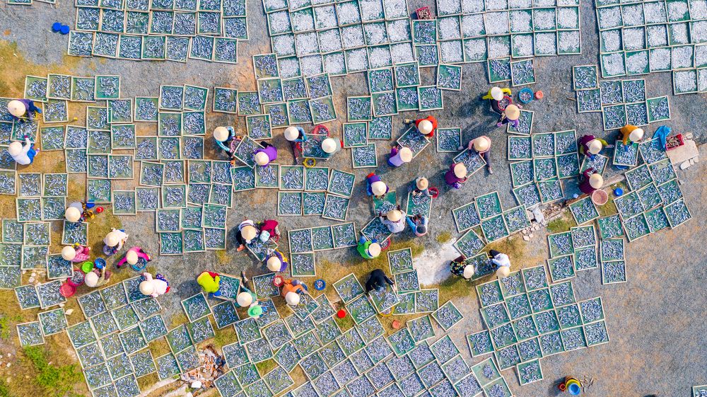 Photograph by Minh Tú Nguyễn