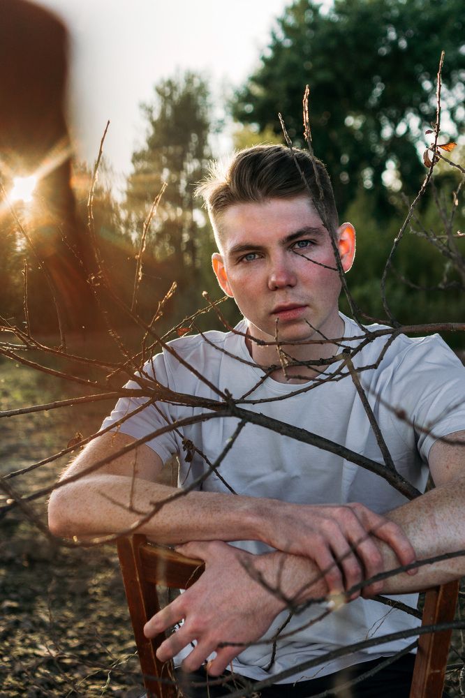 Сквозь ветви к свету