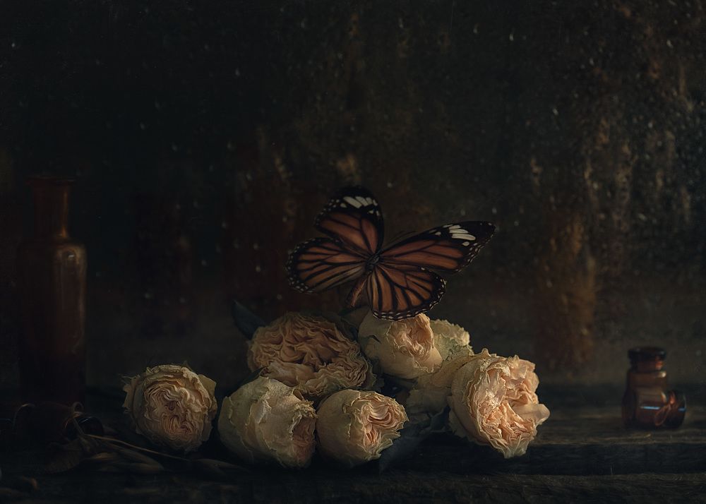 Photograph by Наталия Поникарова