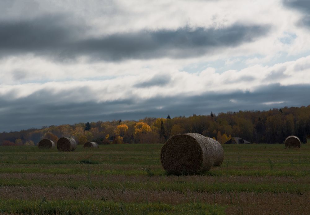 осенние зарисовки