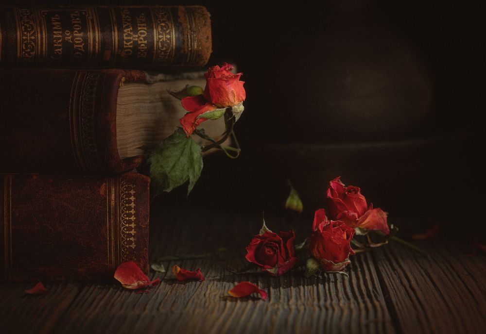 Фотография автора Дмитрий Антонов