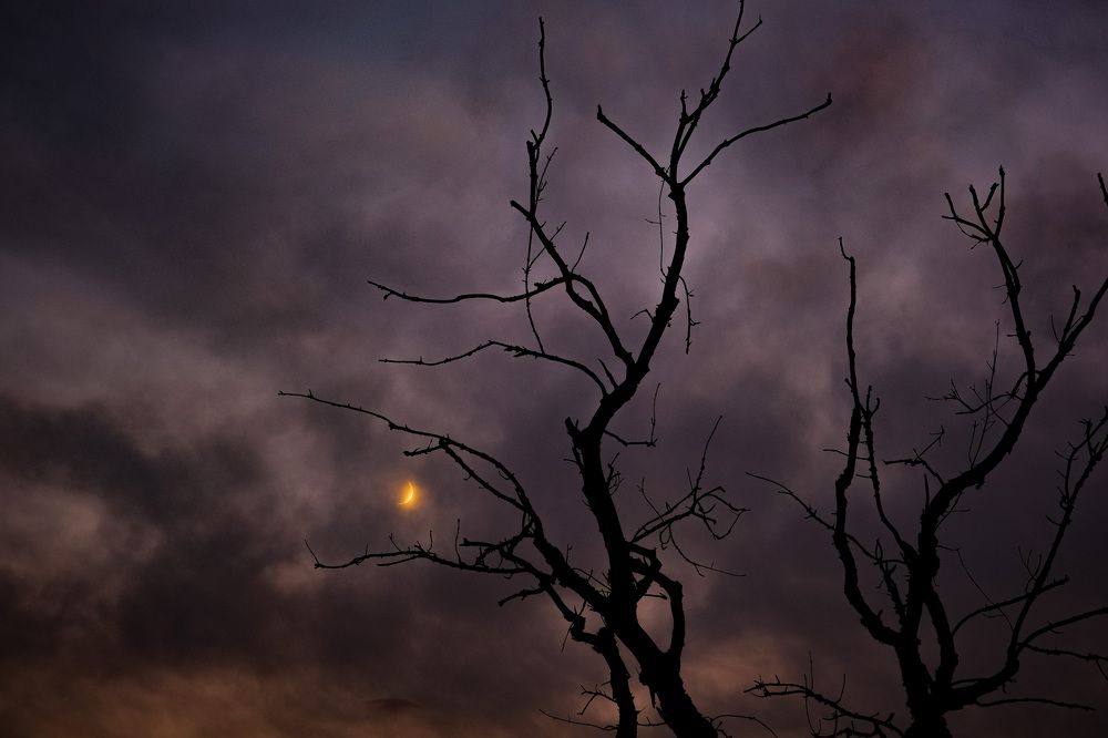 Photograph by Иван Павлов