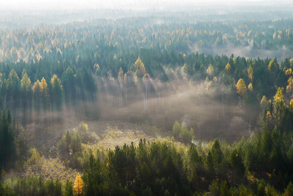 Заблудившийся туман.