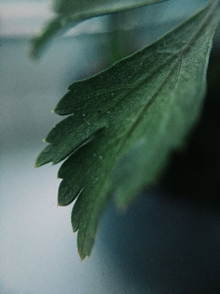 Photograph by Юлія Доманська