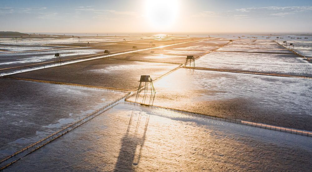 Photograph by Le Hoang Vu