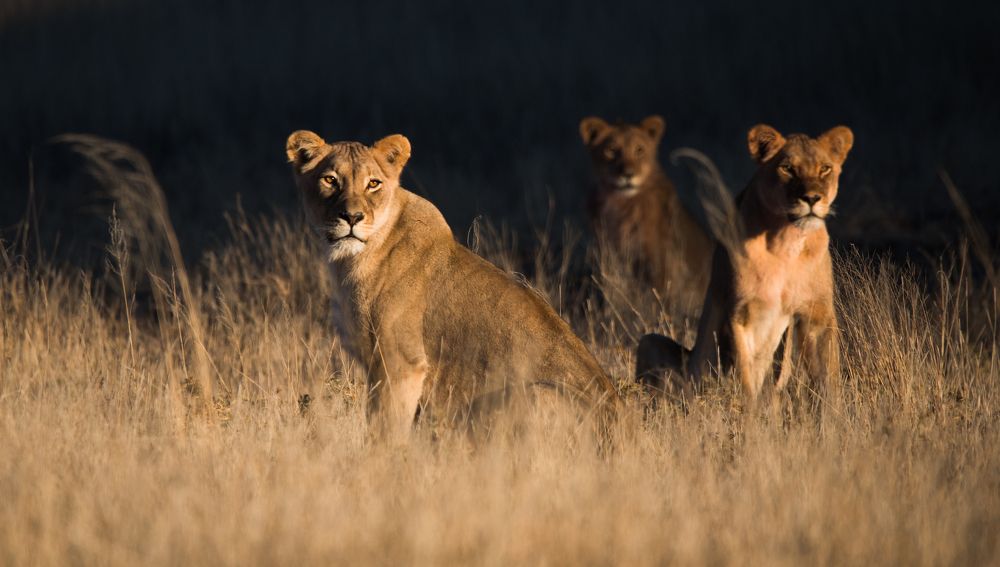 Photograph by Владимир Цветов