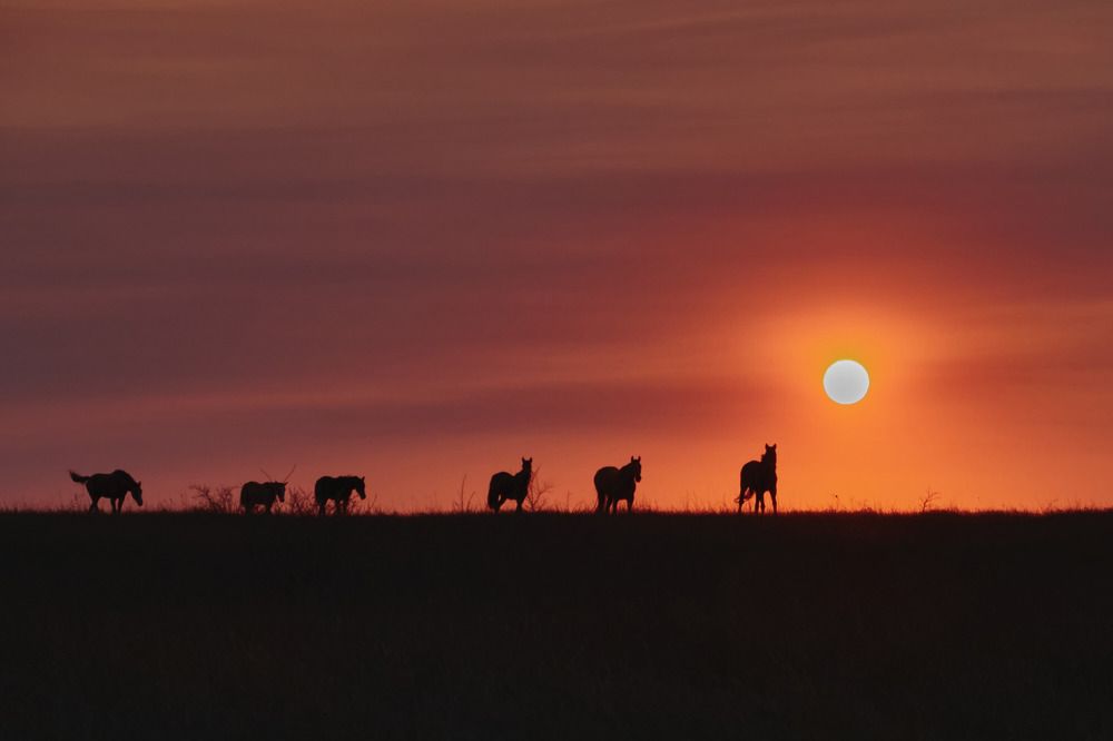 Photograph by Иван Павлов