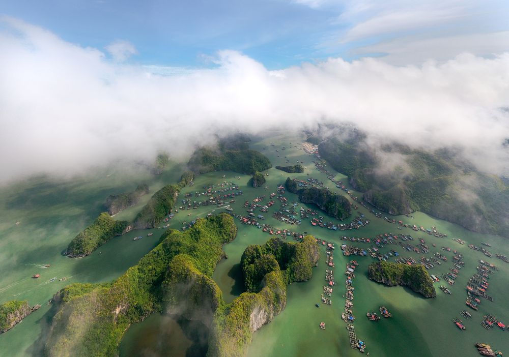 Photograph by Le Hoang Vu