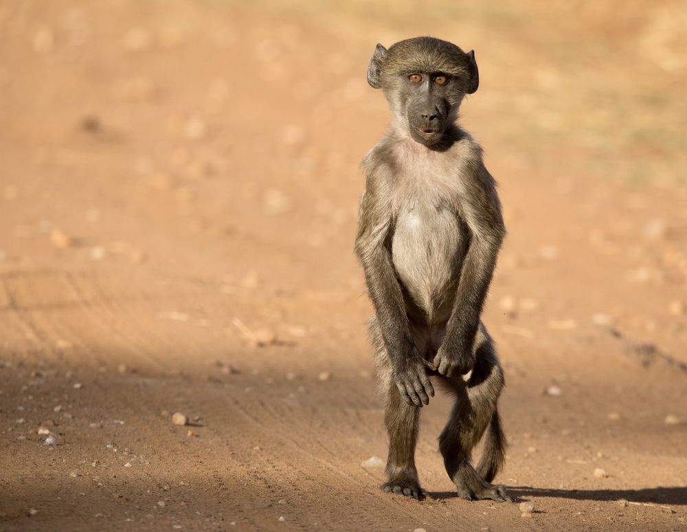 Photograph by Владимир Цветов