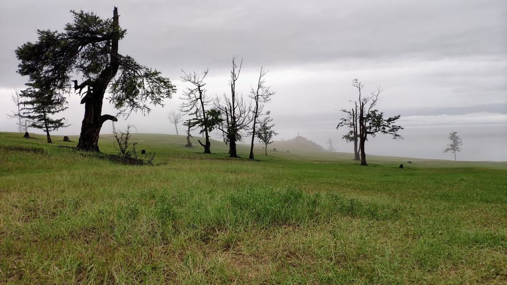 Photograph by Алексей Зайцев