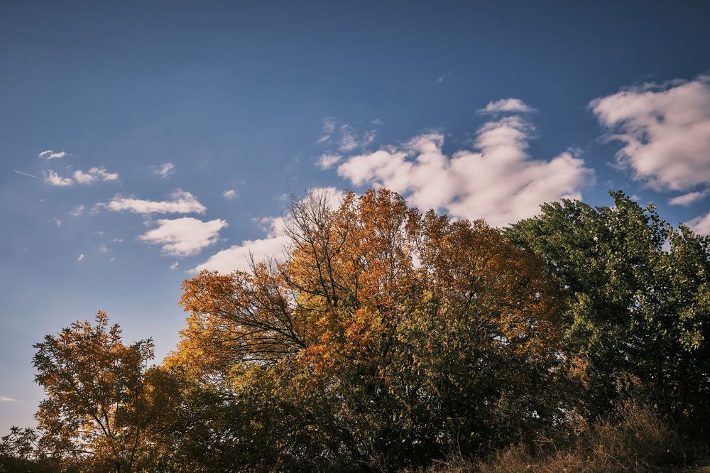 Photograph by Иван Павлов